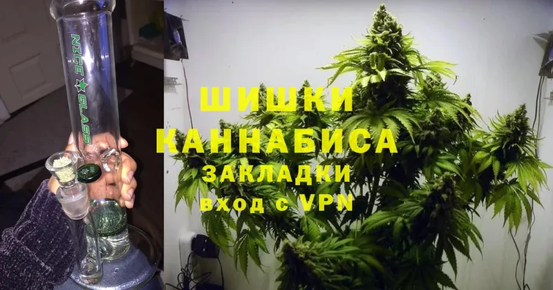 Бошки марихуана SATIVA & INDICA  купить наркотики сайты  Разумное 